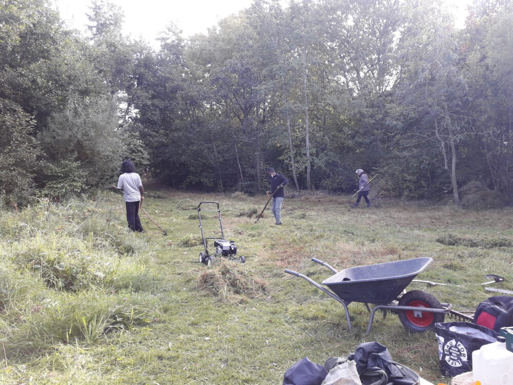 Clearing meadow with scythes