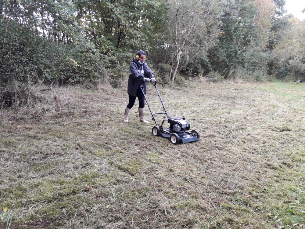 Mowing the  meadow after cutting
