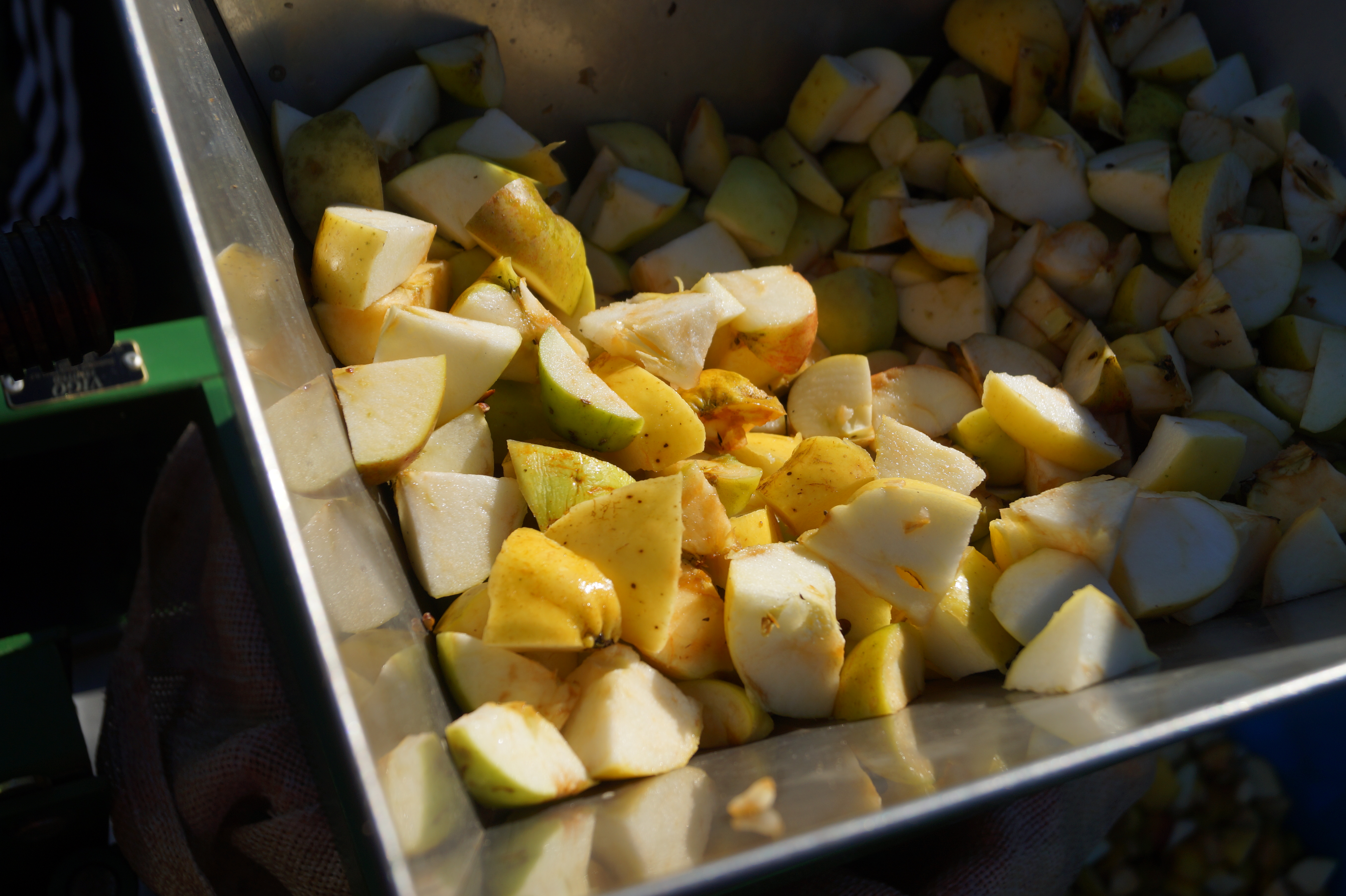 chopped up apples in the crusher