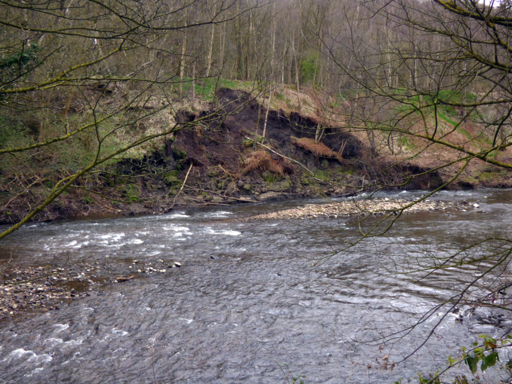 Evidence Of A Landslip On The Far Side Of The River