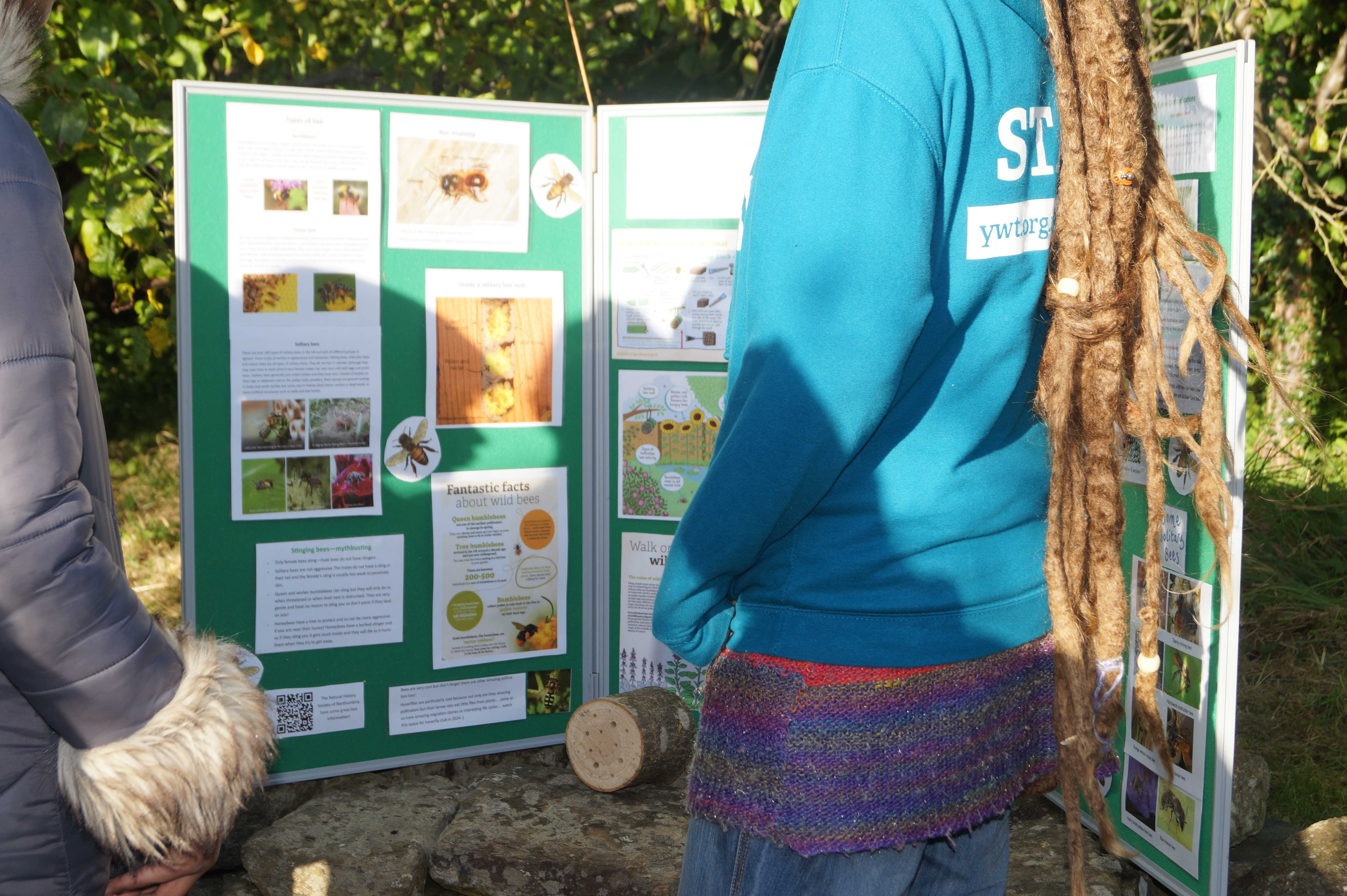 a display board about bees, set up by Yorkshire Wildlife trust