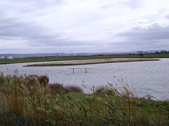 View From Paddy's Pool Hide