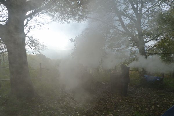 Smoke; autumn charcoal burn, Oct 2012