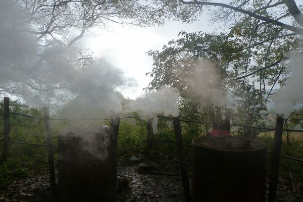 Chimneys; autumn charcoal burn, Oct 2012