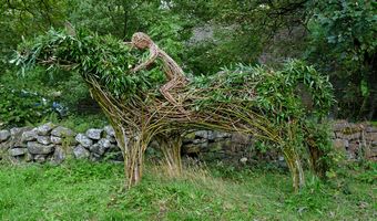 Willow Sculpture