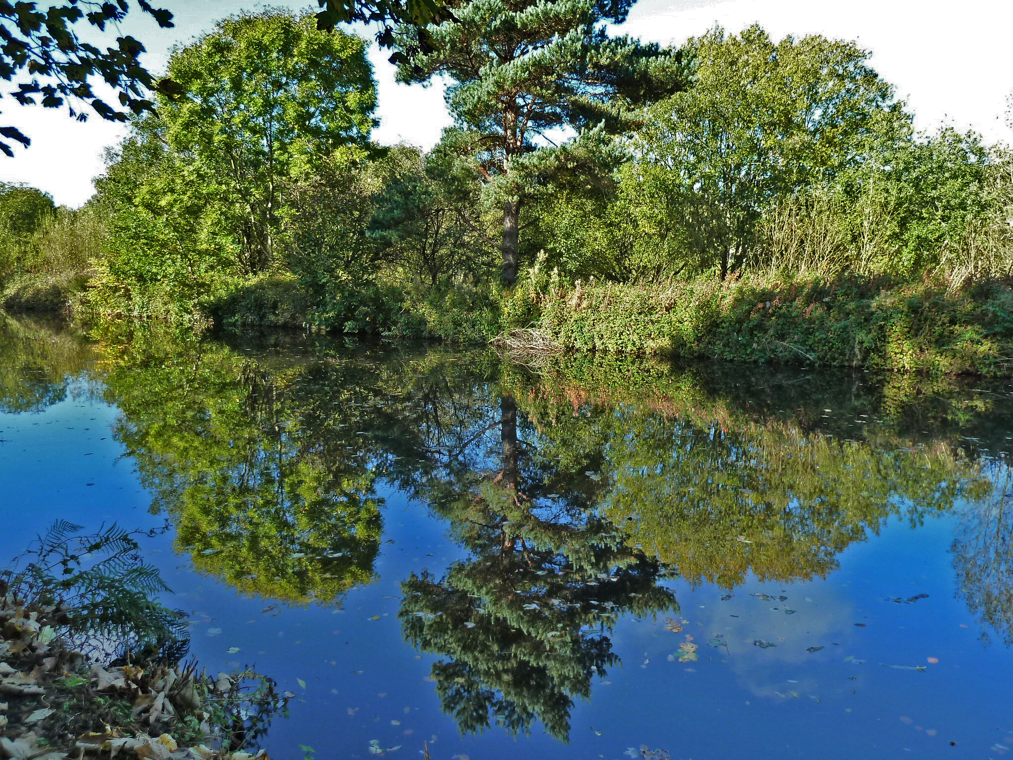 Reflections, Cromwell Bottom, 18th October 2022