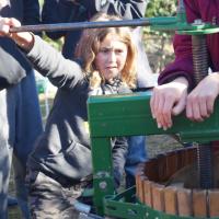 leaning back to turn the handle of the apple press 