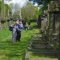 Looking At The Graves