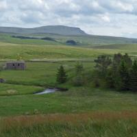 View Of Pen-Y-Ghent