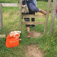 More Than One Way Of Tackling A Stile