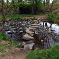 Stepping Stones Over The Stream 