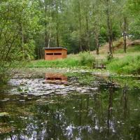 Dragonfly Hide