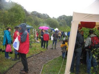 Many people braved the rain to enjoy Apple Day