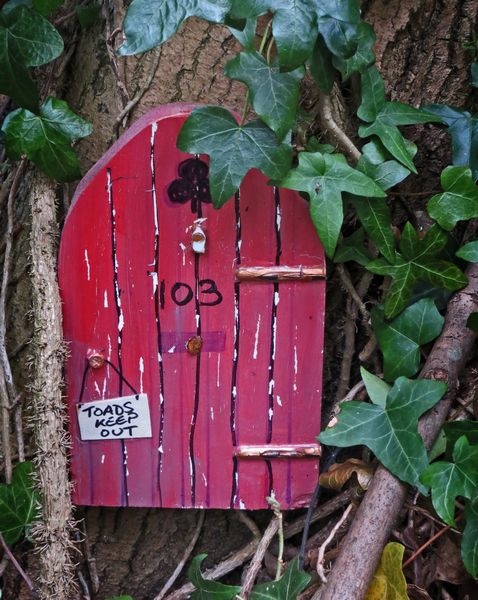 Fairy Door (In wooded area just outside the reserve)