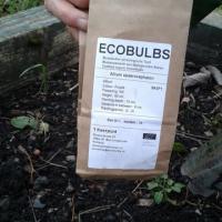 Ecobulbs