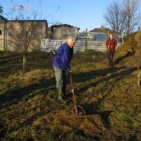 Redcliffe Community Orchard , Nov 07, raking the grassland