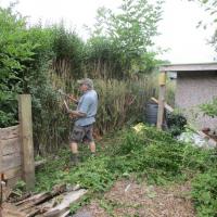 Cutting the hedge